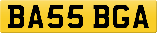 BA55BGA